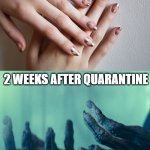 Palpy Hands | 2 WEEKS BEFORE QUARANTINE; 2 WEEKS AFTER QUARANTINE | image tagged in before and after,corona virus,quarantine,coronavirus meme | made w/ Imgflip meme maker