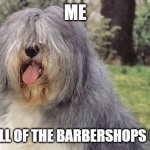 sheepdog | ME; WITH ALL OF THE BARBERSHOPS CLOSED | image tagged in sheepdog | made w/ Imgflip meme maker