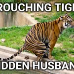 tiger poop | CROUCHING TIGER; HIDDEN HUSBAND | image tagged in tiger poop | made w/ Imgflip meme maker