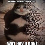wat hav u done | COVID-19 AFTER ME WASHING MY HANDS FOR MORE THAN 20 SECS | image tagged in wat hav u done | made w/ Imgflip meme maker