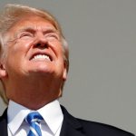 Trump looking at eclipse