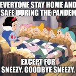 Snow white | EVERYONE STAY HOME AND BE SAFE DURING THE PANDEMIC. EXCEPT FOR SNEEZY. GOODBYE SNEEZY. | image tagged in snow white | made w/ Imgflip meme maker