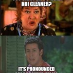 Waterboy Argument | YOU WANT ME TO TAKE
KOI CLEANER? IT'S PRONOUNCED
CHLOROQUINE, MAMA | image tagged in waterboy argument | made w/ Imgflip meme maker