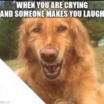 Crying smiling dog | WHEN YOU ARE CRYING AND SOMEONE MAKES YOU LAUGH | image tagged in crying smiling dog | made w/ Imgflip meme maker