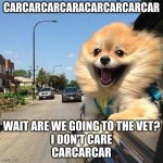 Smiling Pomeranian | CARCARCARCARACARCARCARCAR; WAIT ARE WE GOING TO THE VET?
I DON'T CARE
CARCARCAR | image tagged in smiling pomeranian | made w/ Imgflip meme maker