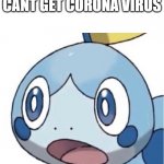 Shocked Sobble 2 | ME REALIZING DOGS CANT GET CORONA VIRUS; BUT CATS CAN | image tagged in shocked sobble 2 | made w/ Imgflip meme maker