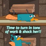 Perry the Platypus | Hey, Mrs. Lichtenwalner isn't looking! Time to turn in tons of work & shock her!! | image tagged in perry the platypus | made w/ Imgflip meme maker