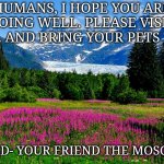 Why insects must never be given internet access | HUMANS, I HOPE YOU ARE DOING WELL. PLEASE VISIT HERE. AND BRING YOUR PETS TOO... SIGNED- YOUR FRIEND THE MOSQUITO | image tagged in alaska landscape,insects,internet,travel | made w/ Imgflip meme maker