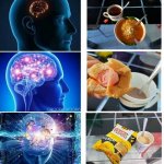 whom | image tagged in whom | made w/ Imgflip meme maker