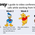 Disney guide to working from home meme