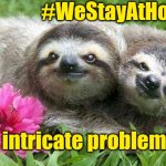 Sloths in love | #WeStayAtHome! No intricate problem! 💝 | image tagged in sloths in love | made w/ Imgflip meme maker