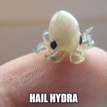 Hail Hydra | HAIL HYDRA | image tagged in hail hydra,hydra,baby squid | made w/ Imgflip meme maker