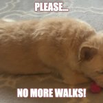 Ridley | PLEASE... NO MORE WALKS! | image tagged in ridley | made w/ Imgflip meme maker
