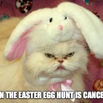 easter cat | WHEN THE EASTER EGG HUNT IS CANCELLED | image tagged in easter cat | made w/ Imgflip meme maker