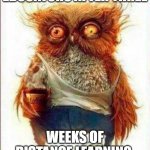 Owl | EDUCATORS AFTER THREE; WEEKS OF DISTANCE LEARNING. | image tagged in owl | made w/ Imgflip meme maker