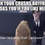 The Law Requires | WHEN YOUR CRUSHS BOYFRIEND ASKS YOU IF YOU LIKE HER | image tagged in the law requires | made w/ Imgflip meme maker