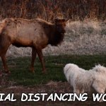 Social Distancing | SOCIAL DISTANCING WORKS | image tagged in social distancing | made w/ Imgflip meme maker