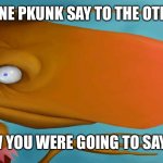 Pkunk | WHAT DID ONE PKUNK SAY TO THE OTHER PKUNK? "I KNEW YOU WERE GOING TO SAY THAT!" | image tagged in pkunk | made w/ Imgflip meme maker