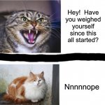 Cat Drake | Hey!  Have you weighed yourself since this all started? Nnnnnope | image tagged in cat drake | made w/ Imgflip meme maker