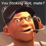 Scout_Pootis.exe | You fricking wot, mate? | image tagged in scout_pootisexe | made w/ Imgflip meme maker