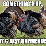Turkey | SOMETHING'S UP.. TOMMY G JUST UNFRIENDED ME.. | image tagged in turkey | made w/ Imgflip meme maker