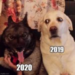 worried at evil dog | 2019; 2020 | image tagged in worried at evil dog | made w/ Imgflip meme maker