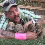 Joe exotic tiger king tiger cubs