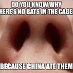 Jenna | DO YOU KNOW WHY THERE’S NO BATS IN THE CAGE? BECAUSE CHINA ATE THEM | image tagged in jenna | made w/ Imgflip meme maker