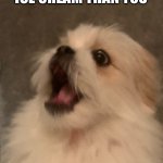 Shocked Puppy | WHEN YOU GO FOR ICE CREAM THAN YOU; FIGURE OUT THAT UR A DOG | image tagged in shocked puppy | made w/ Imgflip meme maker