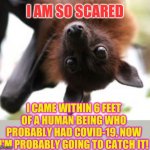 I knew I should have worn a mask.... | I AM SO SCARED; I CAME WITHIN 6 FEET OF A HUMAN BEING WHO PROBABLY HAD COVID-19, NOW I'M PROBABLY GOING TO CATCH IT! | image tagged in bat birthday | made w/ Imgflip meme maker