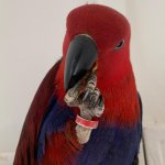 It’s my feckin almond!