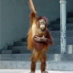 Monkey Raising Hand