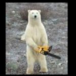 Chainsaw bear meme