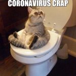 cat sitting on toilet | ME DURING THIS CORONAVIRUS CRAP | image tagged in cat sitting on toilet | made w/ Imgflip meme maker