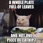Annoyed White Cat | A WHOLE PLATE FULL OF LEAVES; AND NOT ONE PIECE OF CATNIP? | image tagged in annoyed white cat | made w/ Imgflip meme maker
