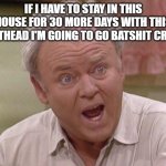 Archie Bunker | IF I HAVE TO STAY IN THIS HOUSE FOR 30 MORE DAYS WITH THIS MEATHEAD I'M GOING TO GO BATSHIT CRAZY! | image tagged in archie bunker | made w/ Imgflip meme maker