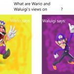 Wario and Waluigi’s views