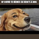 smiling dog | YOU'RE ALL PROBABLY TIRED OF COIVD 19 MEMES SO HERE'S A DOG | image tagged in smiling dog | made w/ Imgflip meme maker