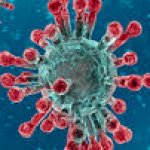 Virus