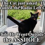 cat | The Cat just asked "If I wanted the Radio Left On, While He Went Outside"; the ASSHOLE | image tagged in cat | made w/ Imgflip meme maker