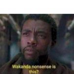 Wakanda nonsense is this meme