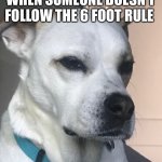 Duke | THAT FACE YOU MAKE WHEN SOMEONE DOESN’T FOLLOW THE 6 FOOT RULE | image tagged in duke,dogs,covid-19,quarantine,funny memes | made w/ Imgflip meme maker