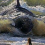 Killer whale eats seal meme