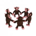 Monkey Circle meme