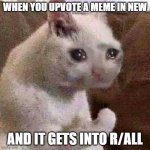 Sad but proud cat | WHEN YOU UPVOTE A MEME IN NEW; AND IT GETS INTO R/ALL | image tagged in sad but proud cat | made w/ Imgflip meme maker