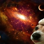 Space garlic corgi