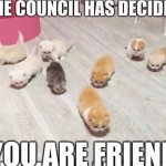 The council has decided meme