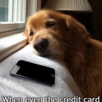 Waiting by the phone | That moment; When even the credit card companies stop calling you | image tagged in waiting by the phone | made w/ Imgflip meme maker
