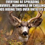 deer meme | EVERYONE BE SPREADING CORONAVIRUS...MEANWHILE IM CHILLING IN THE WOODS HIDING THIS OVER UNTIL ITS DONE | image tagged in deer meme | made w/ Imgflip meme maker