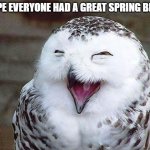 owl happy | I HOPE EVERYONE HAD A GREAT SPRING BRAKE | image tagged in owl happy | made w/ Imgflip meme maker
